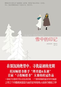 雪中的印记