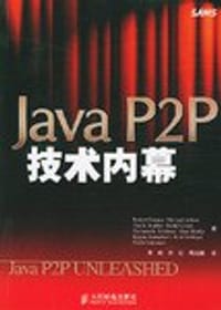 Java P2P技术内幕