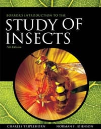 Borror and DeLong&#x27;s Introduction to the Study of Insects