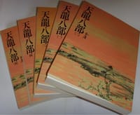 The Semi-gods and the Semi-devils, Vol. 1 ('The semi-gods and the semi-devils, Vol. 1', in traditional Chinese, NOT in English)