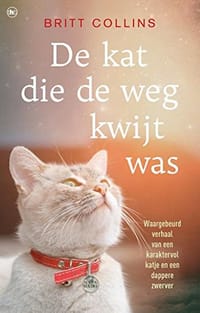 De kat die de weg kwijt was