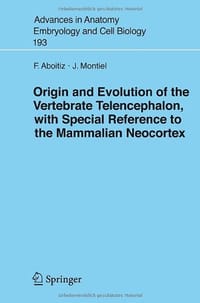 Origin and Evolution of the Vertebrate Telencephalon, with Special Reference to the Mammalian Neocortex