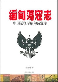 中国远征军缅甸荡寇志