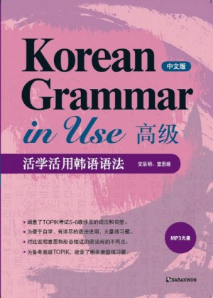 Korean Grammar in Use 高級(中文版)