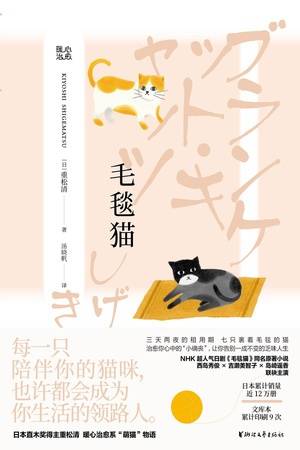 毛毯猫