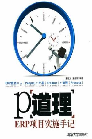 P道理：ERP项目实施手记