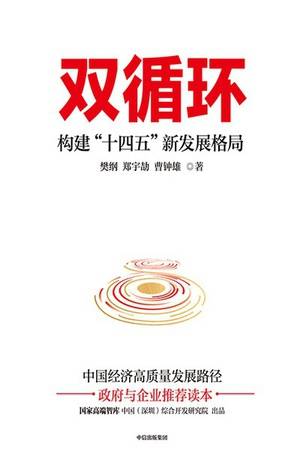 双循环：构建“十四五”新发展格局