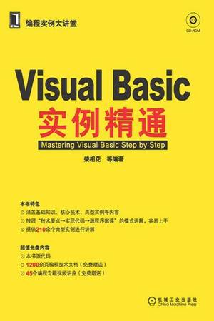 Visual Basic 实例精通