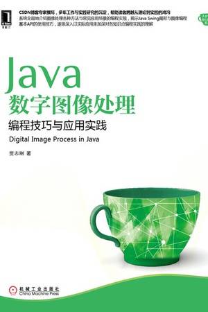 Java数字图像处理：编程技巧与应用实践