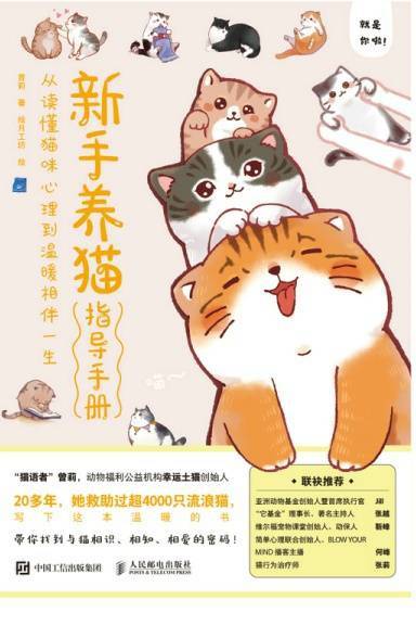 新手养猫指导手册