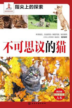 不可思议的猫