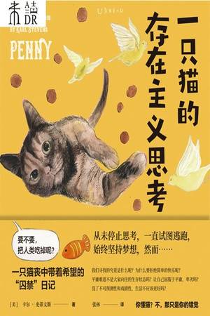 一只猫的存在主义思考